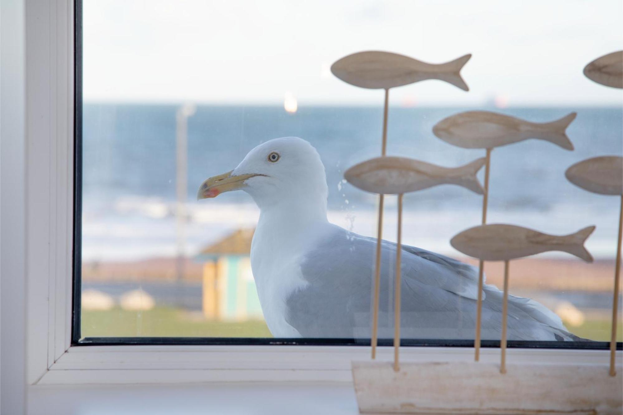 Sunnybeach Holiday Apartments Paignton Eksteriør bilde